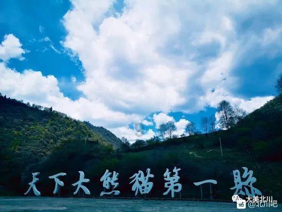 全民剧本大师内置菜单