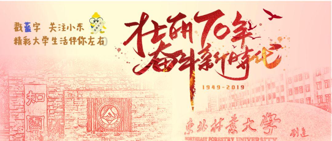 虫虫助手下载