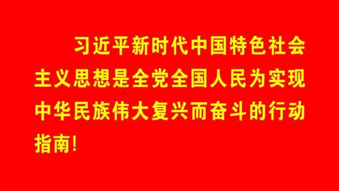 88影视