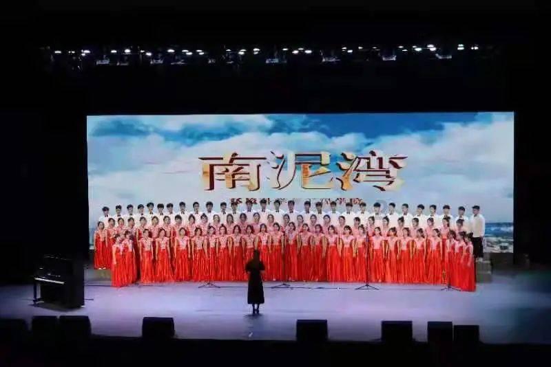 创作猫