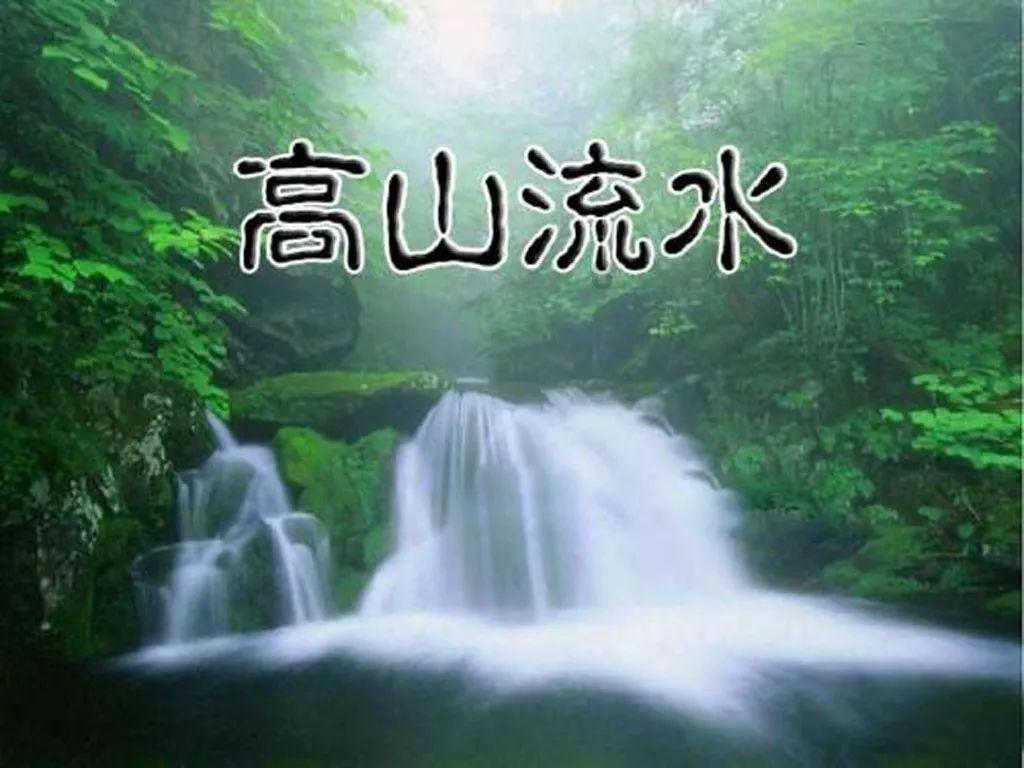 动物帮帮忙保卫家园