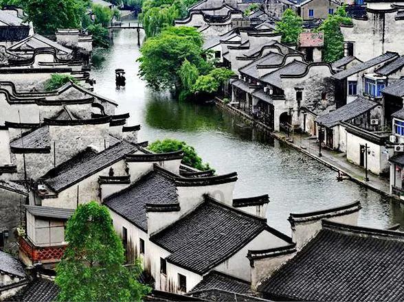 春雨直播app